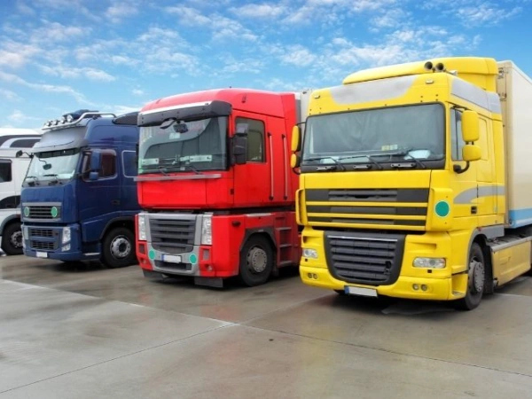 İstanbul Sürmene Nakliye